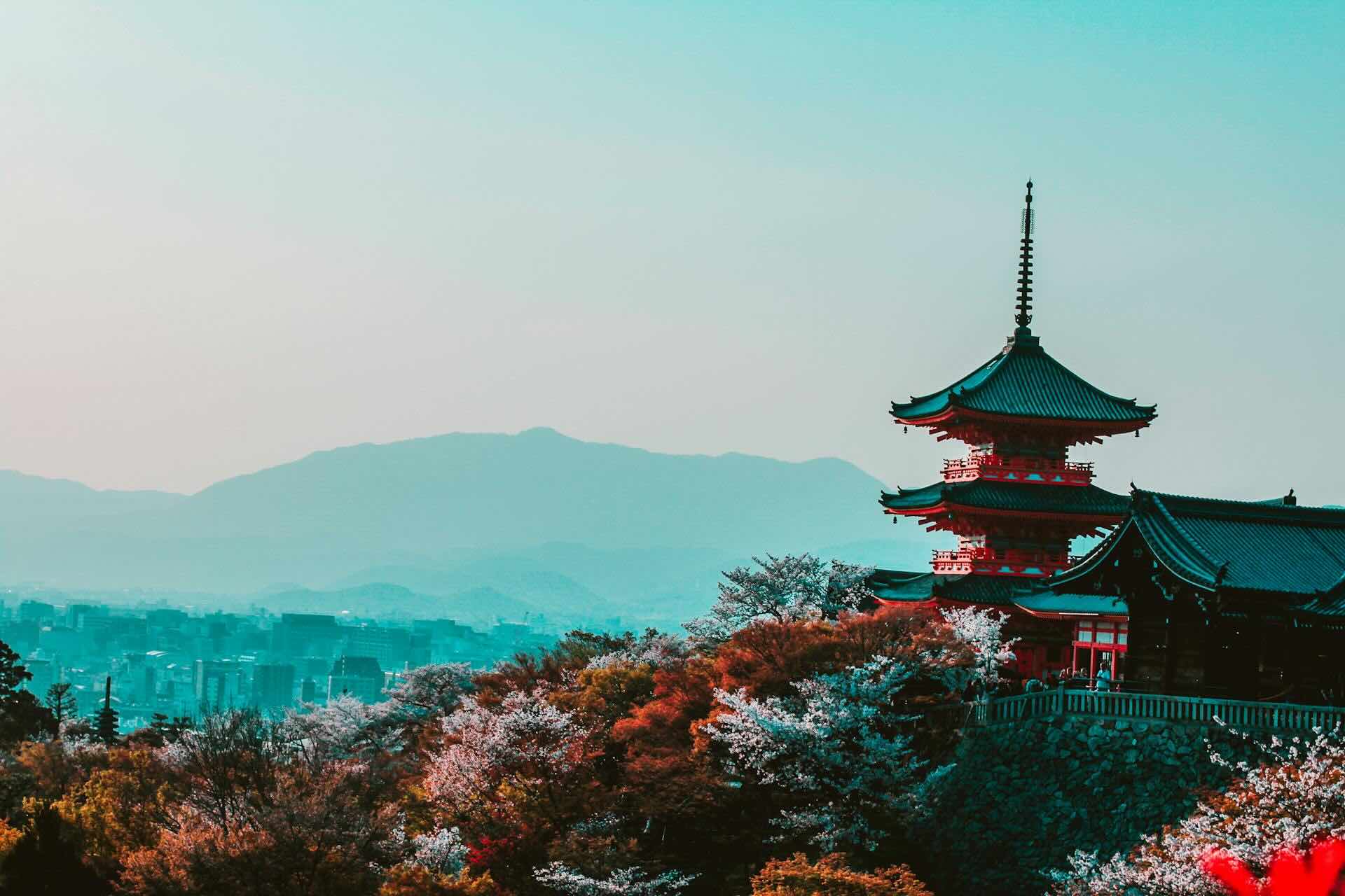 Hidden Gems in Tokyo