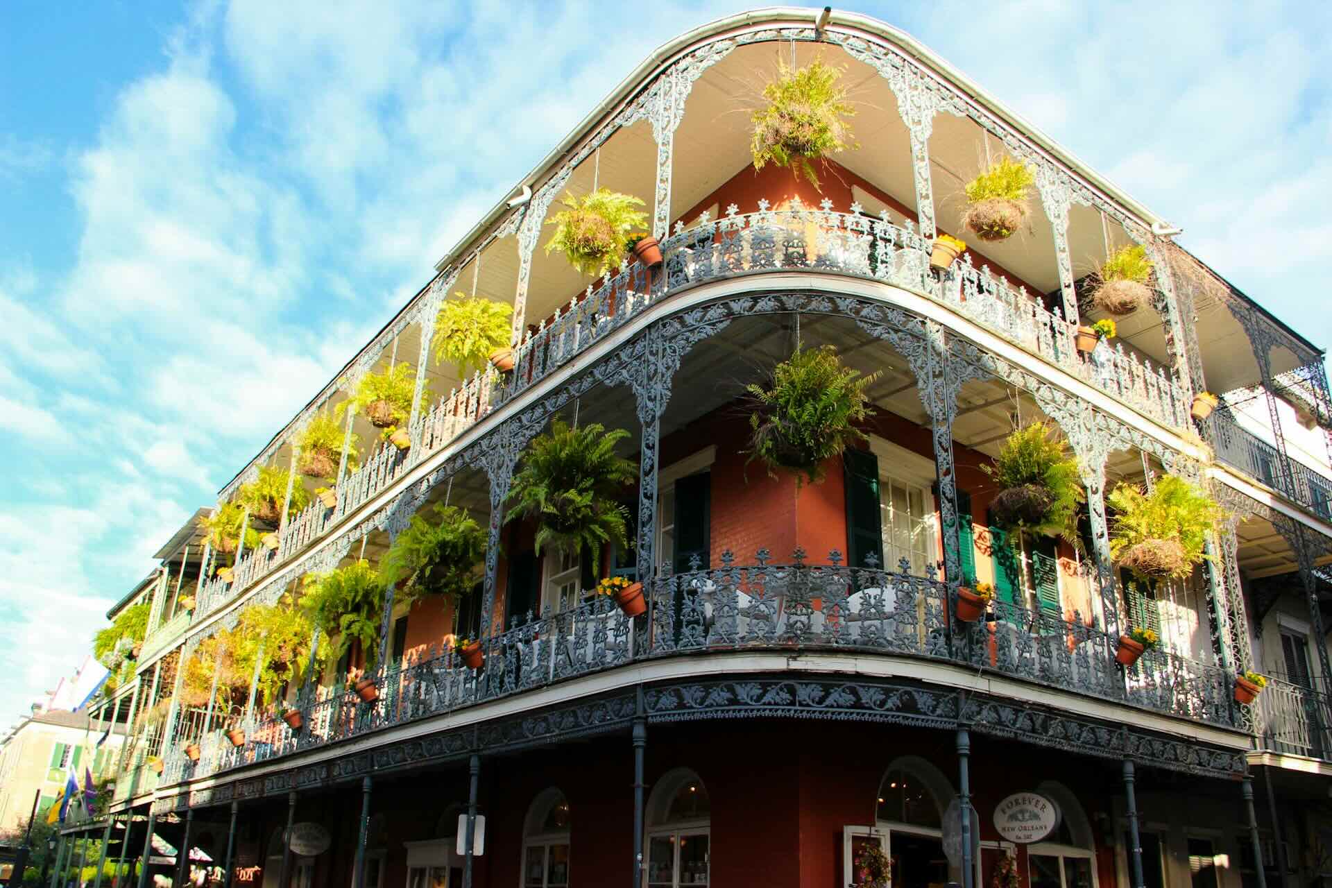 New Orleans Rhythms: Jazz, Culture, and Creole Flavors