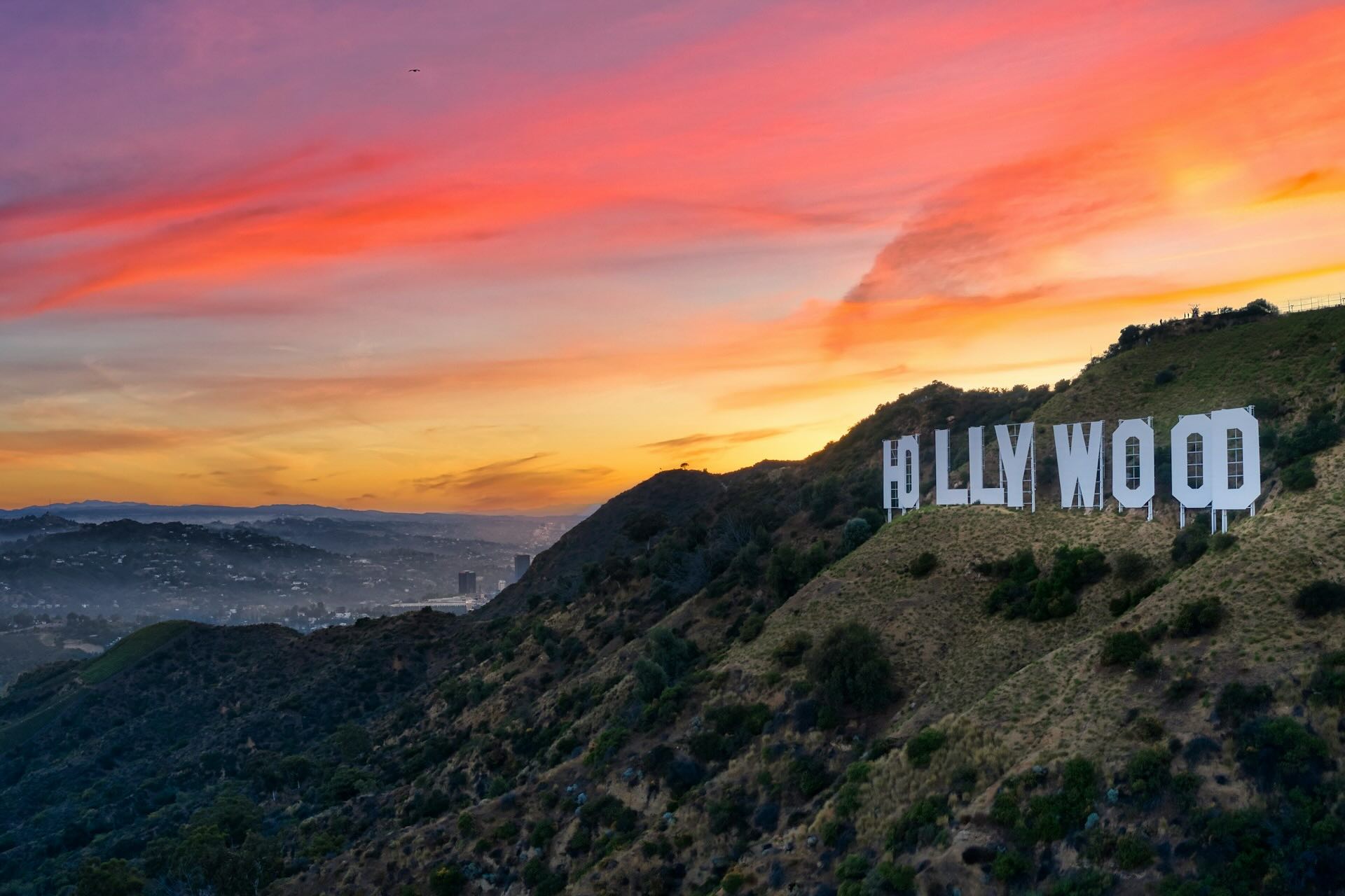 Your Favorite Celebrities: Which City They Prefer to Visit and Why