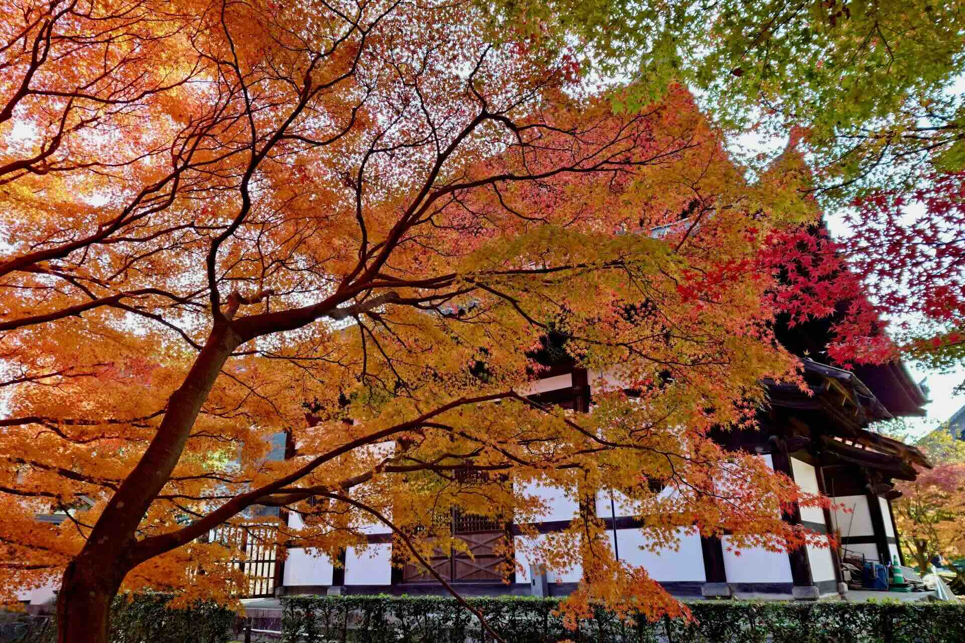 10 World Towns that Glow with Fall Foliage Magic