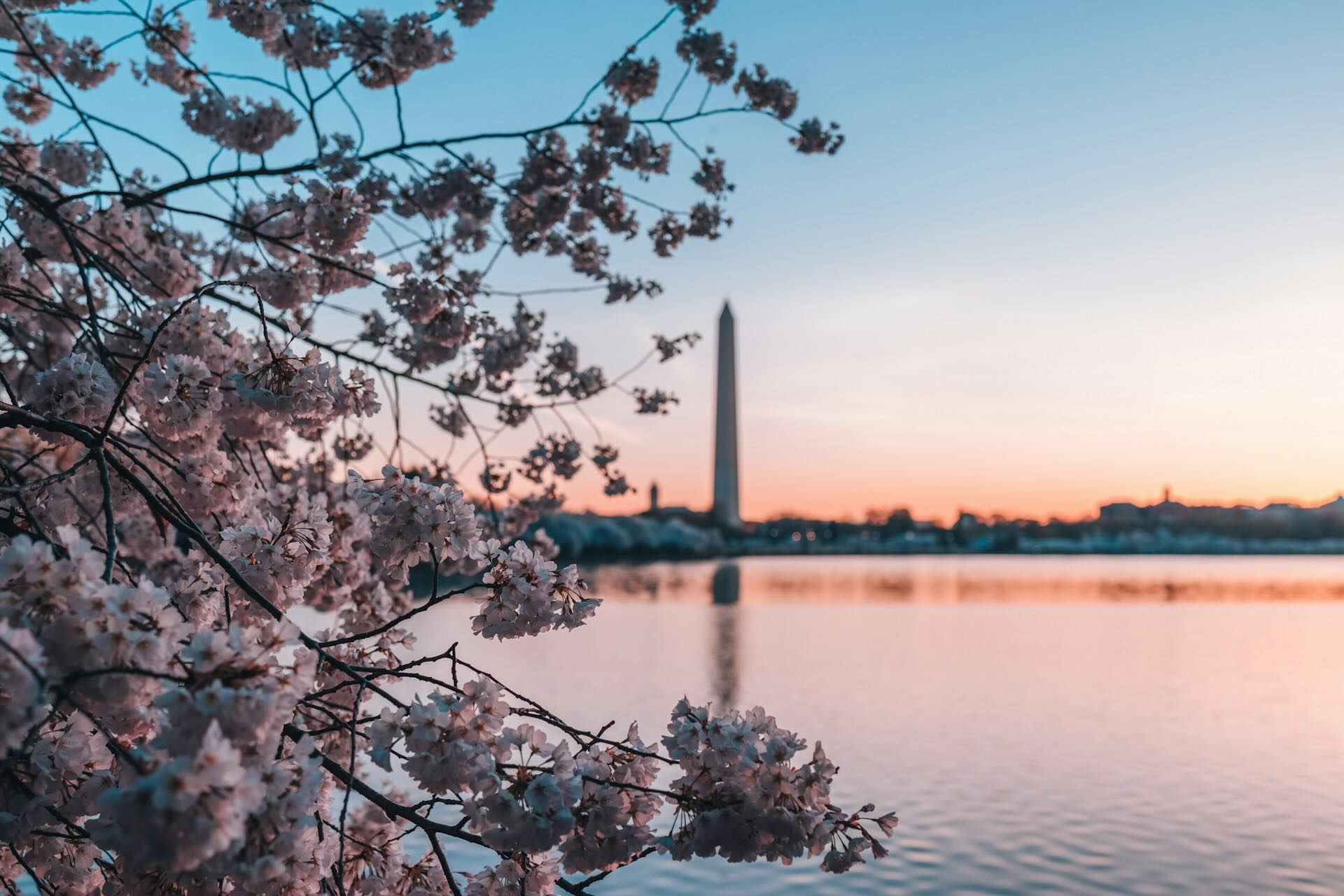 Top 5 Washington, DC Luxury Getaways