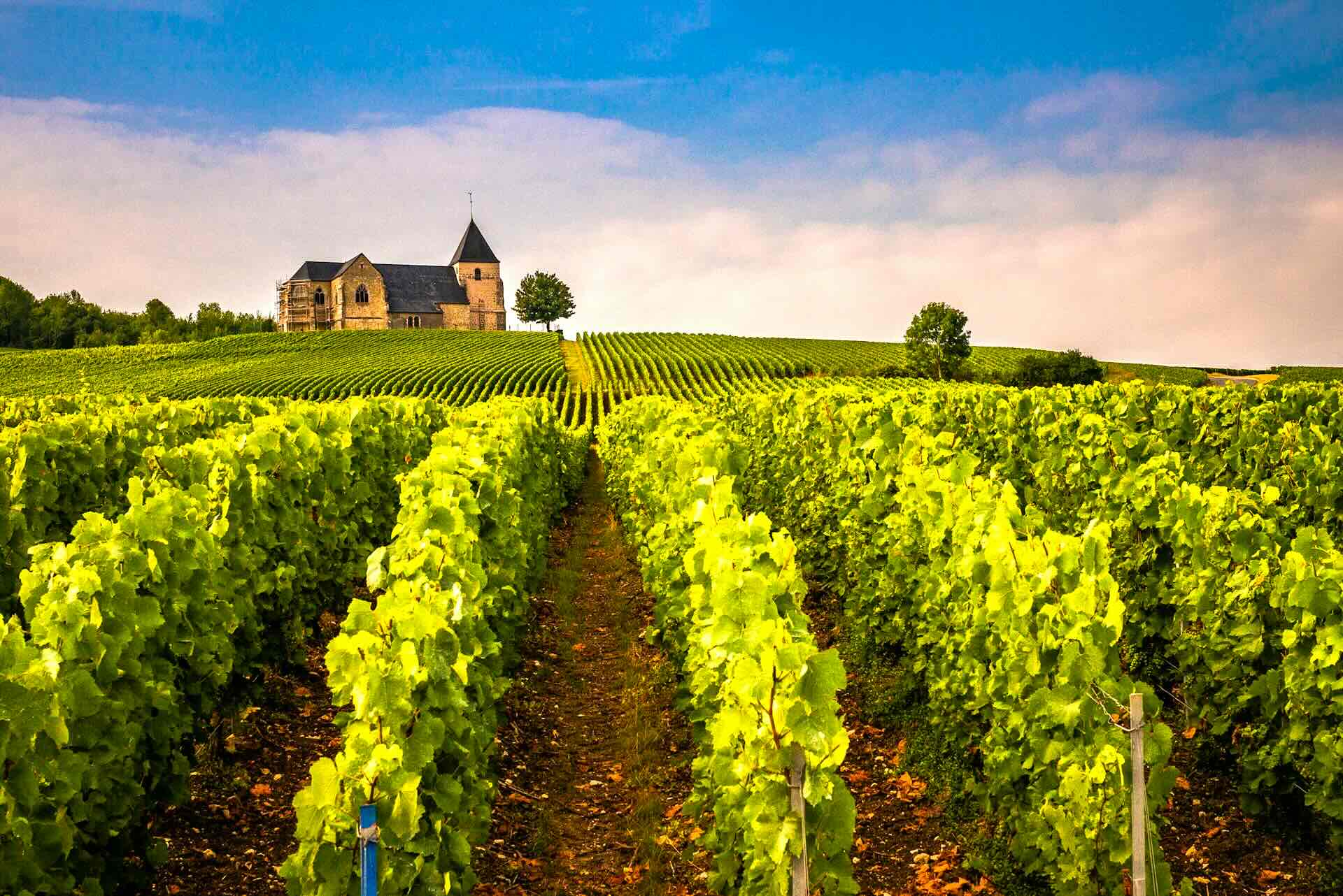 Champagne, France: Vineyards, Tastings, and Sparkling Wine