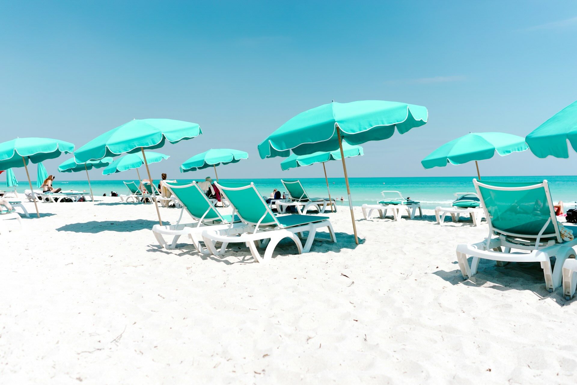 Miami in High Season, What You Gain and What You Lose