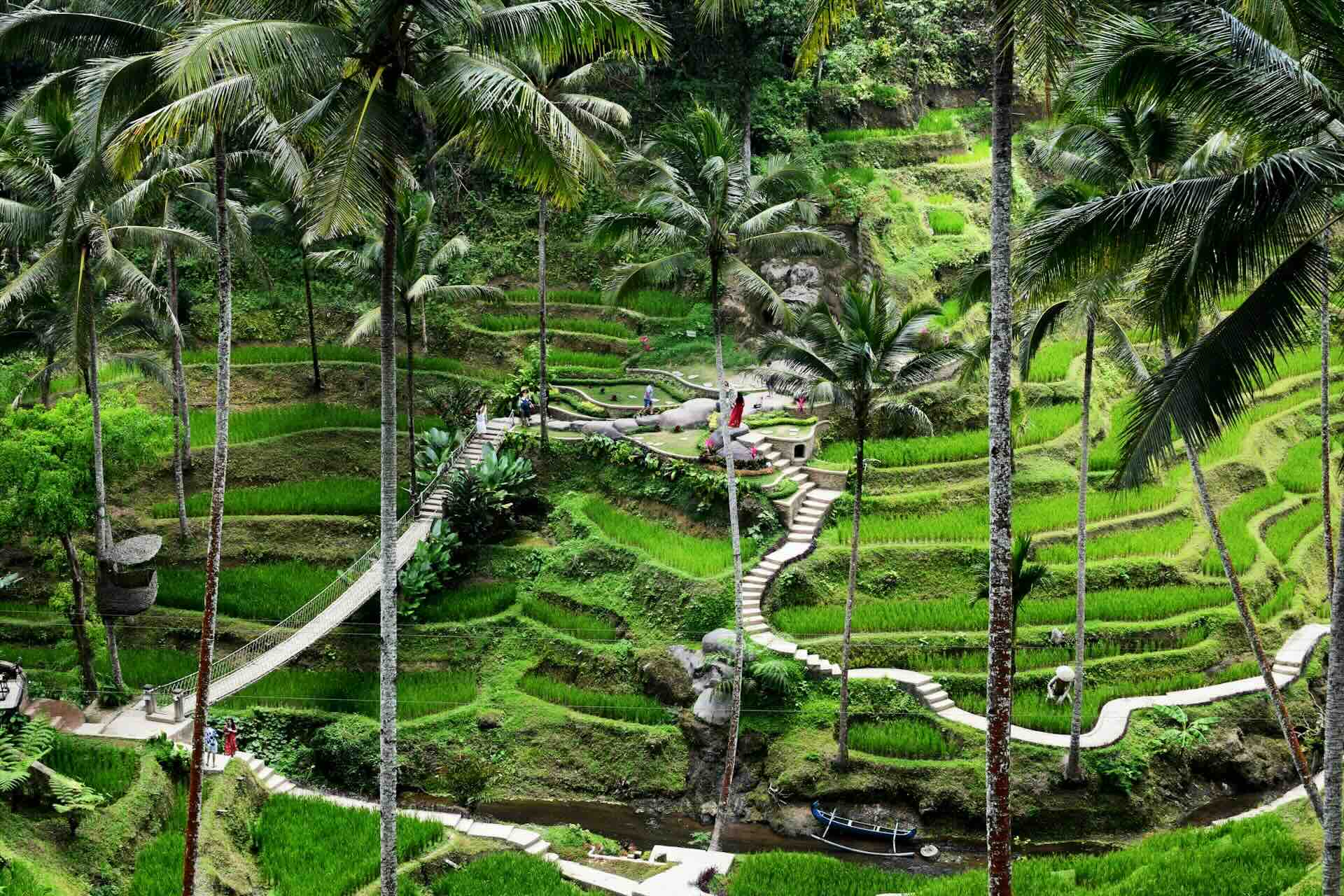 Ubud, Indonesia Jungle Calm and Creative Culture
