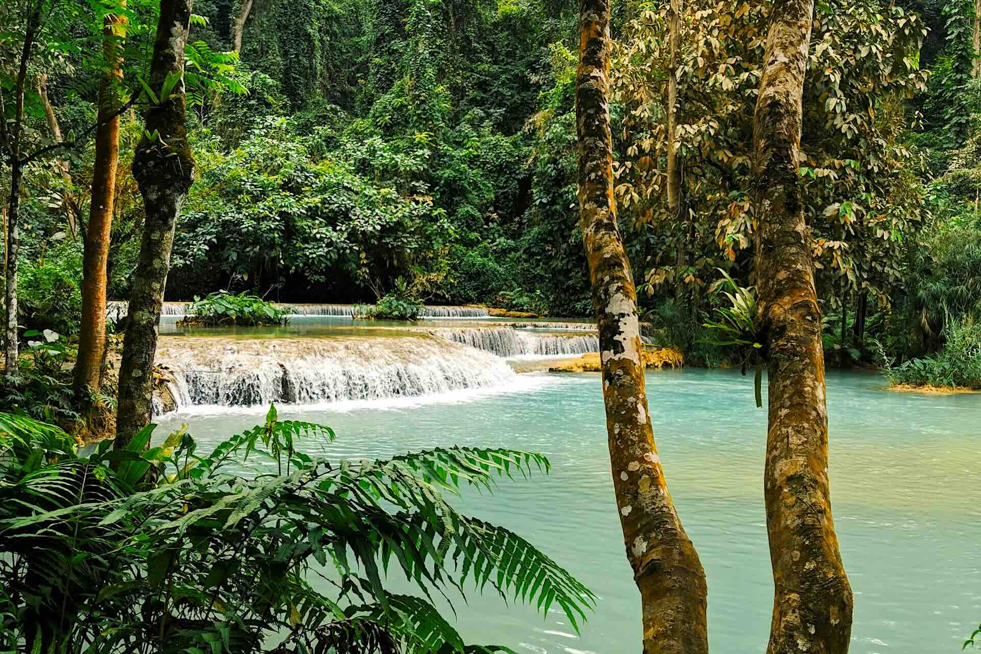 Luang Prabang, Laos Temples and River Life