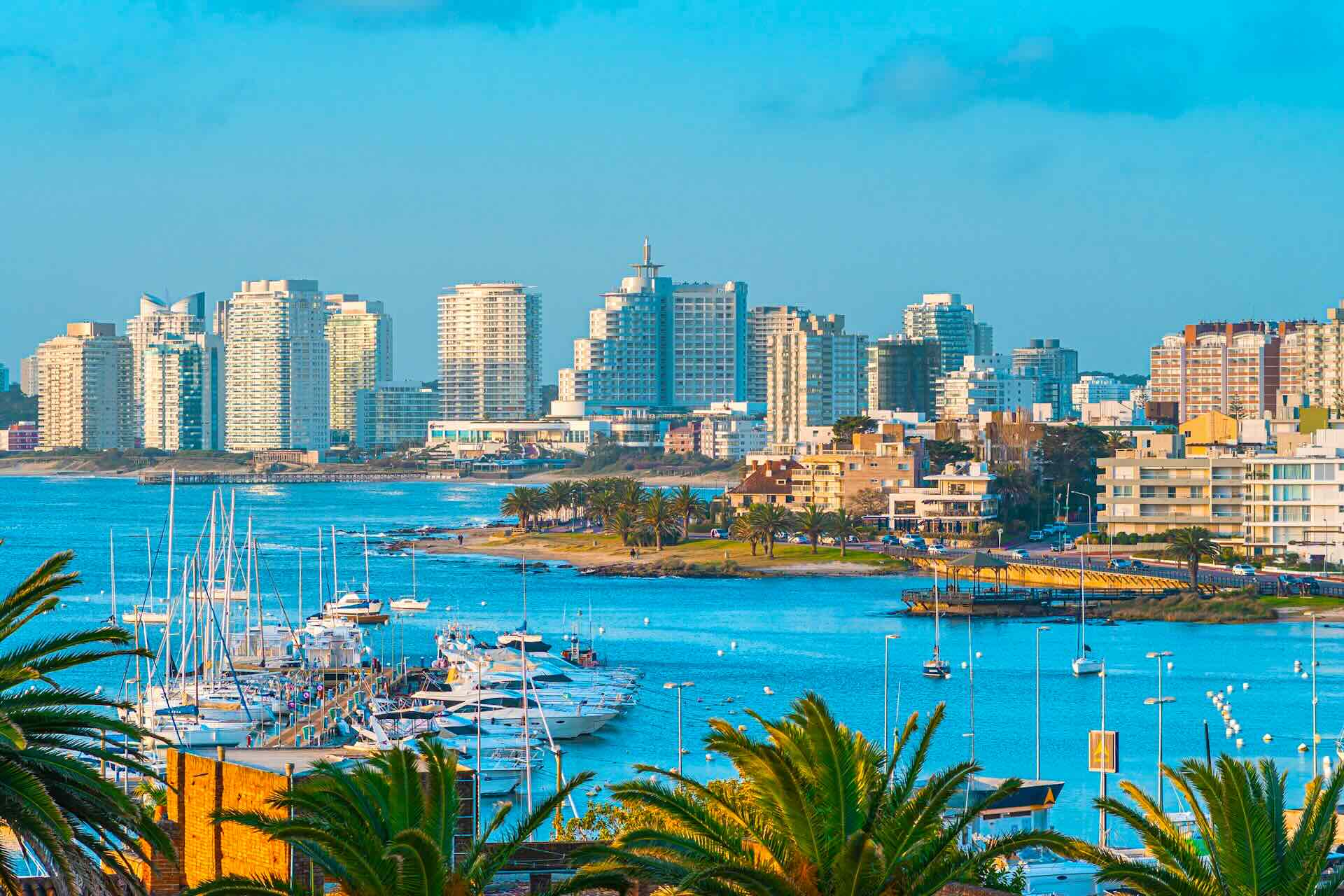 Punta del Este, Uruguay Glamour, Surf, and Long Atlantic Beaches