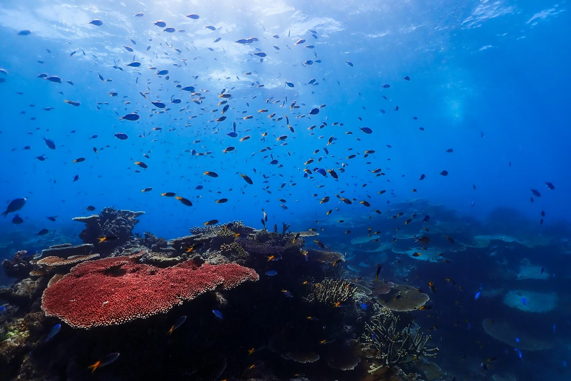 TravelPal’s Top 100 Places to Visit Countdown 40-31