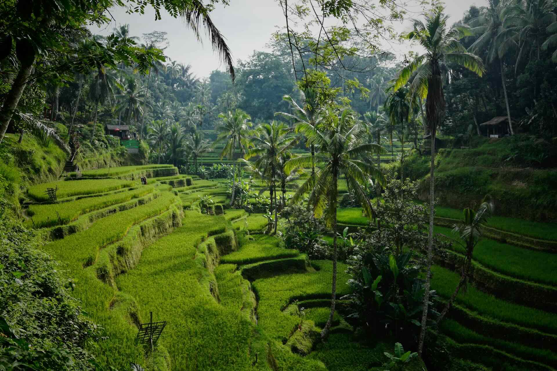 TravelPal’s Top 100 Places to Visit Countdown 60-51